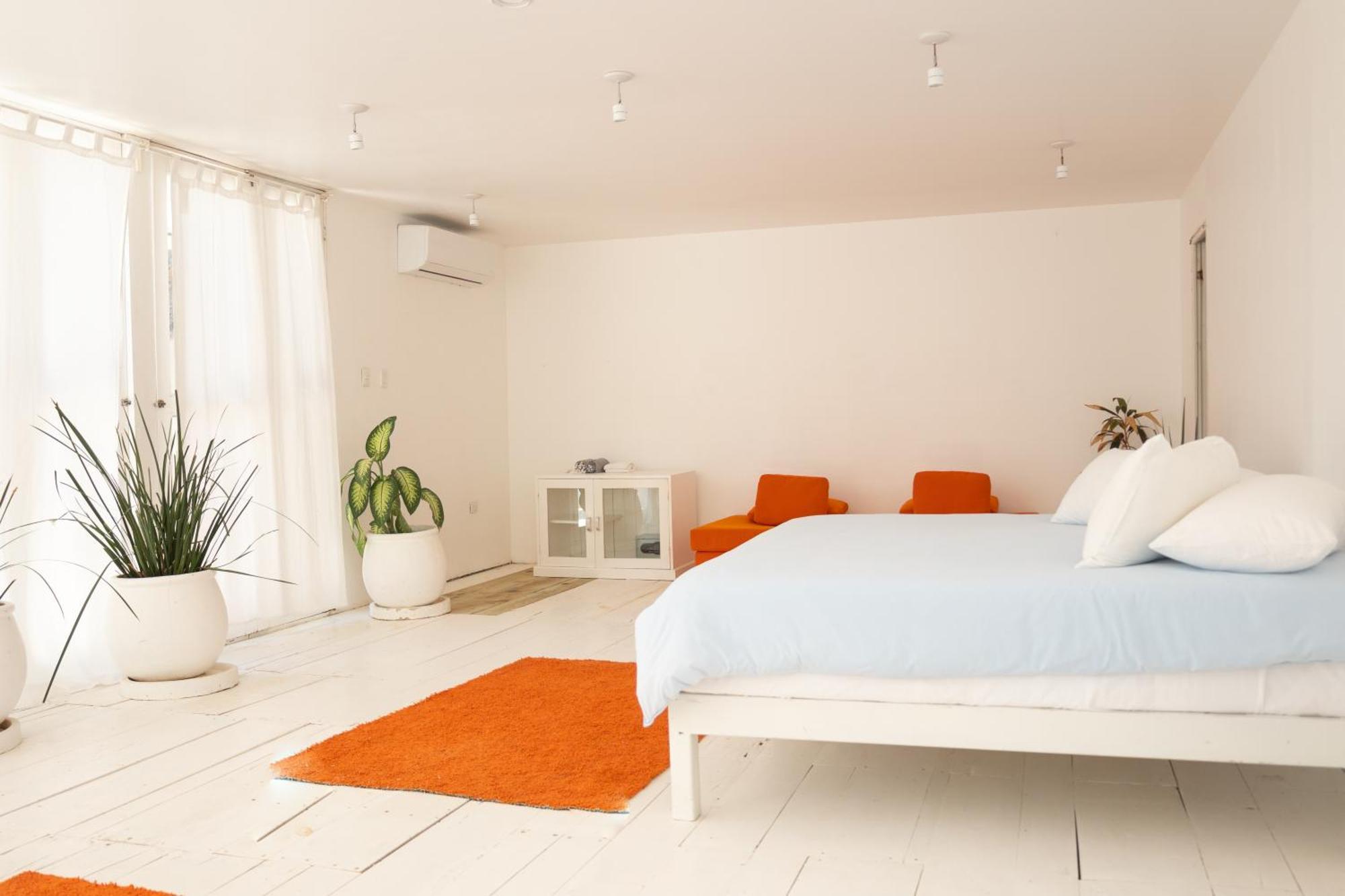 Shambala Beach House 图卢姆 外观 照片